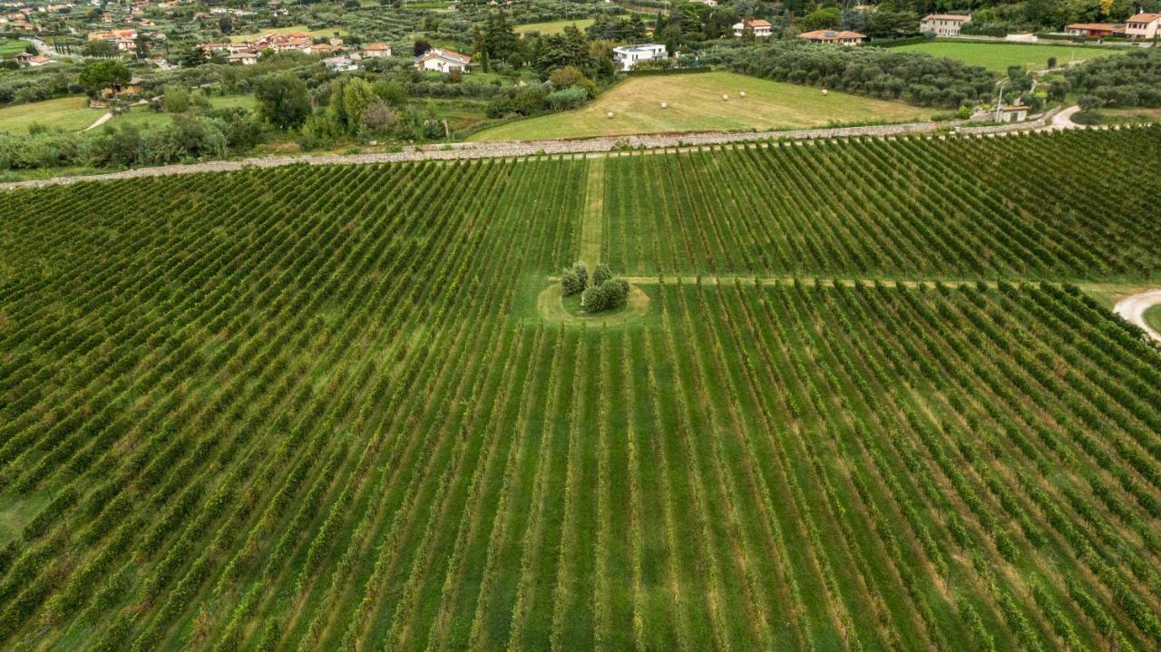 Agriturismo Borgata Levita Бардолино Экстерьер фото